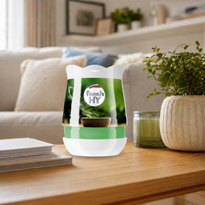 Fresh HY Room Perfume 180g